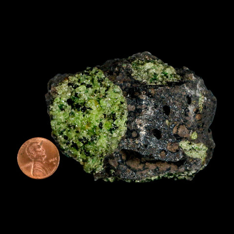 2.9" Emerald Peridot Crystals, Chrome Diopside And Spinel On Volcanic Rock Gila, AZ - Fossil Age Minerals