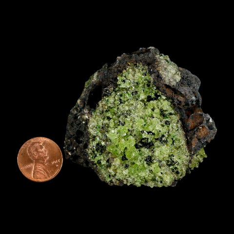 2.5" Emerald Peridot Crystals, Chrome Diopside And Spinel On Volcanic Rock Gila, AZ - Fossil Age Minerals