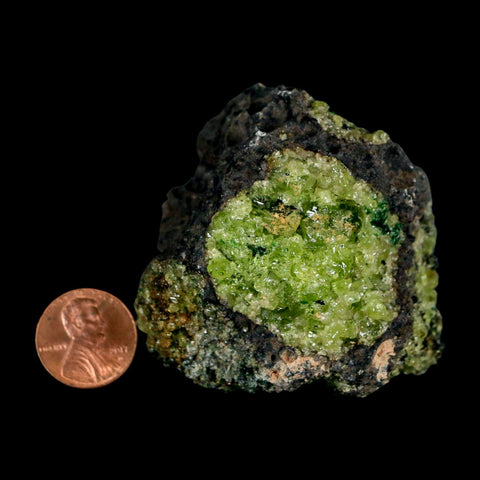 2.3" Emerald Peridot Crystals, Chrome Diopside And Spinel On Volcanic Rock Gila, AZ - Fossil Age Minerals