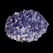 2" Purple Grape Agate Botryoidal Crystal Cluster Mineral Sulawesi Island Indonesia