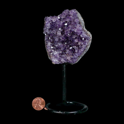 3.1" Amethyst Crystal Cluster Mineral Specimen Brazil Custom Medal Stand