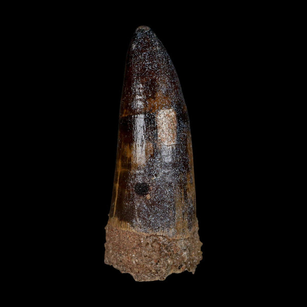XL 2.6