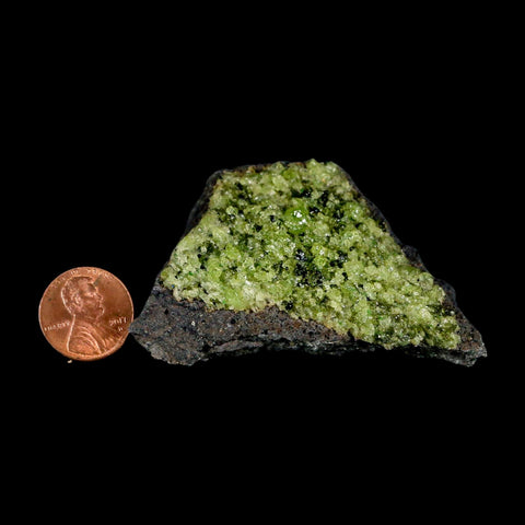 2.7" Emerald Peridot Crystals, Chrome Diopside And Spinel On Volcanic Rock Gila, AZ - Fossil Age Minerals