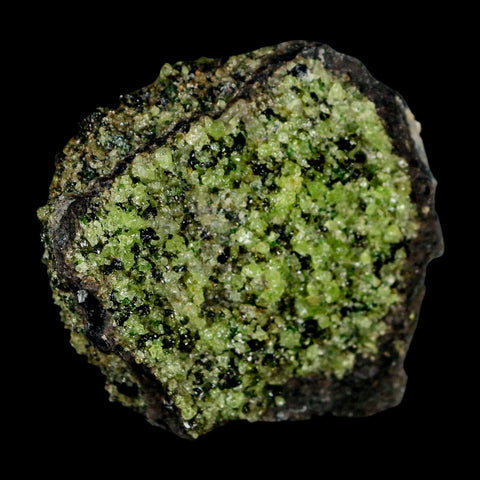 2.9" Emerald Peridot Crystals, Chrome Diopside And Spinel On Volcanic Rock Gila, AZ - Fossil Age Minerals