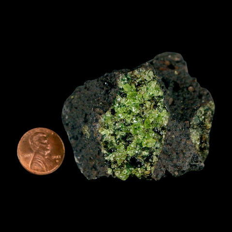 2.3" Emerald Peridot Crystals, Chrome Diopside And Spinel On Volcanic Rock Gila, AZ - Fossil Age Minerals