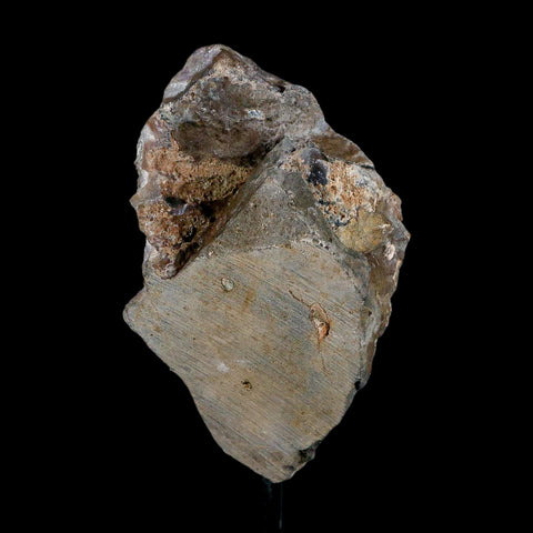 3.4" Amethyst Crystal Cluster Mineral Specimen Brazil Custom Medal Stand