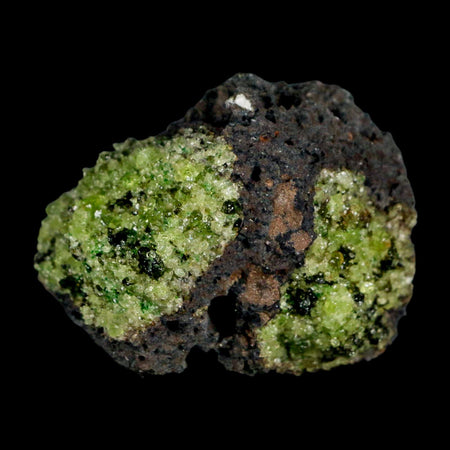2.5" Emerald Peridot Crystals, Chrome Diopside And Spinel On Volcanic Rock Gila, AZ