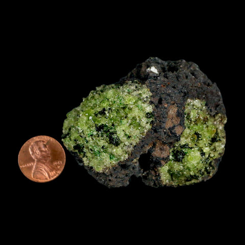 2.5" Emerald Peridot Crystals, Chrome Diopside And Spinel On Volcanic Rock Gila, AZ - Fossil Age Minerals