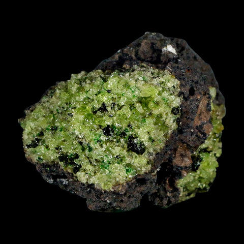2.5" Emerald Peridot Crystals, Chrome Diopside And Spinel On Volcanic Rock Gila, AZ - Fossil Age Minerals