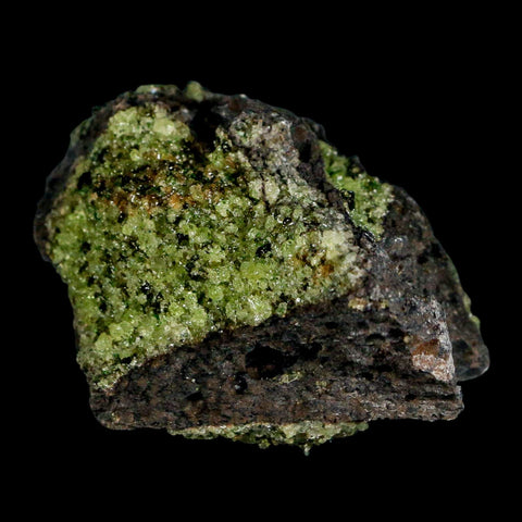 3.2" Emerald Peridot Crystals, Chrome Diopside And Spinel On Volcanic Rock Gila, AZ - Fossil Age Minerals