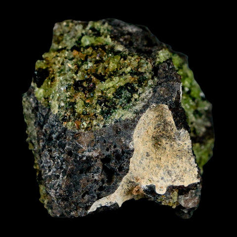 2.4" Emerald Peridot Crystals, Chrome Diopside And Spinel On Volcanic Rock Gila, AZ - Fossil Age Minerals