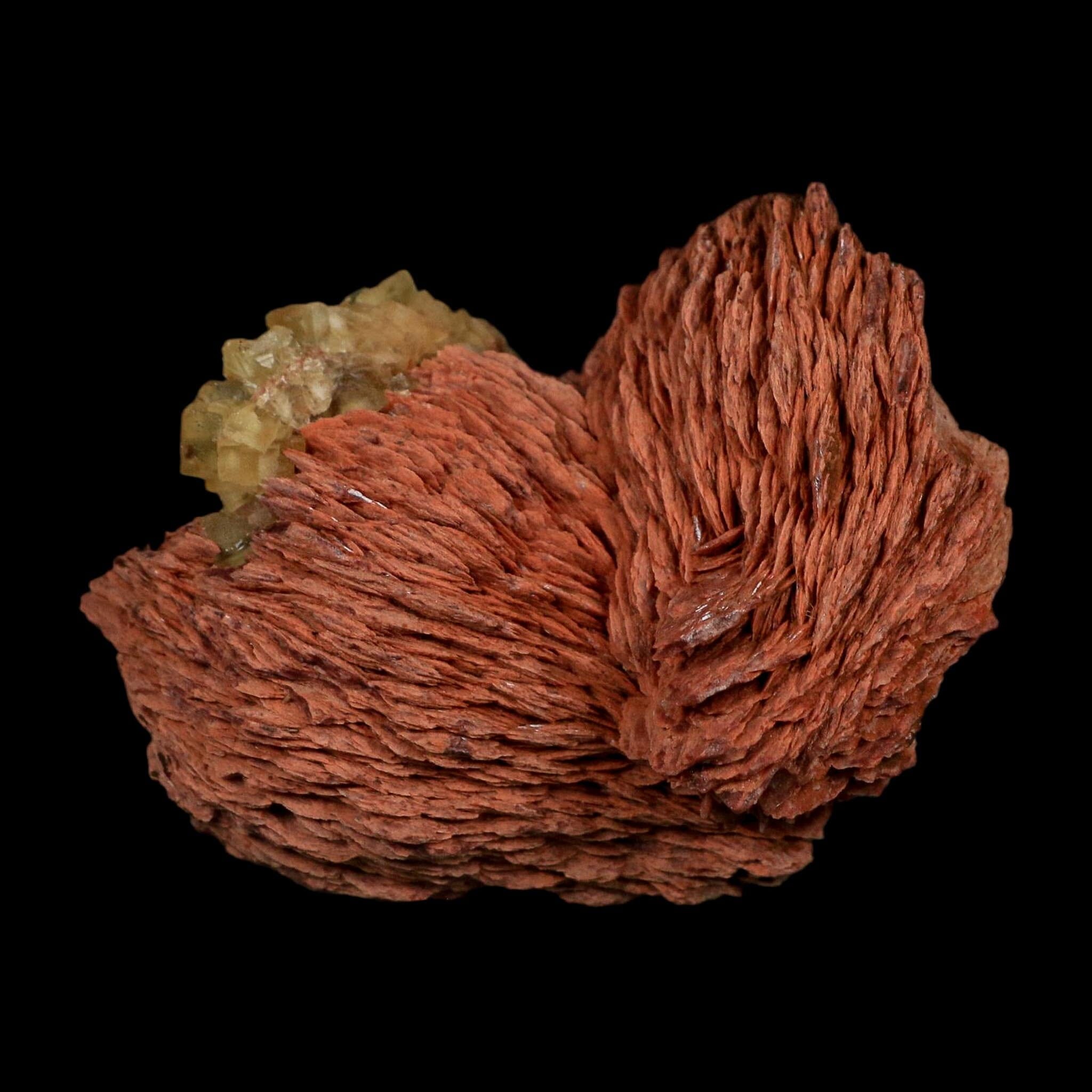 3.7" Yellow Fluorite on Orange Barite Blade Crystals Minerals Taouirirt Morocco - Fossil Age Minerals