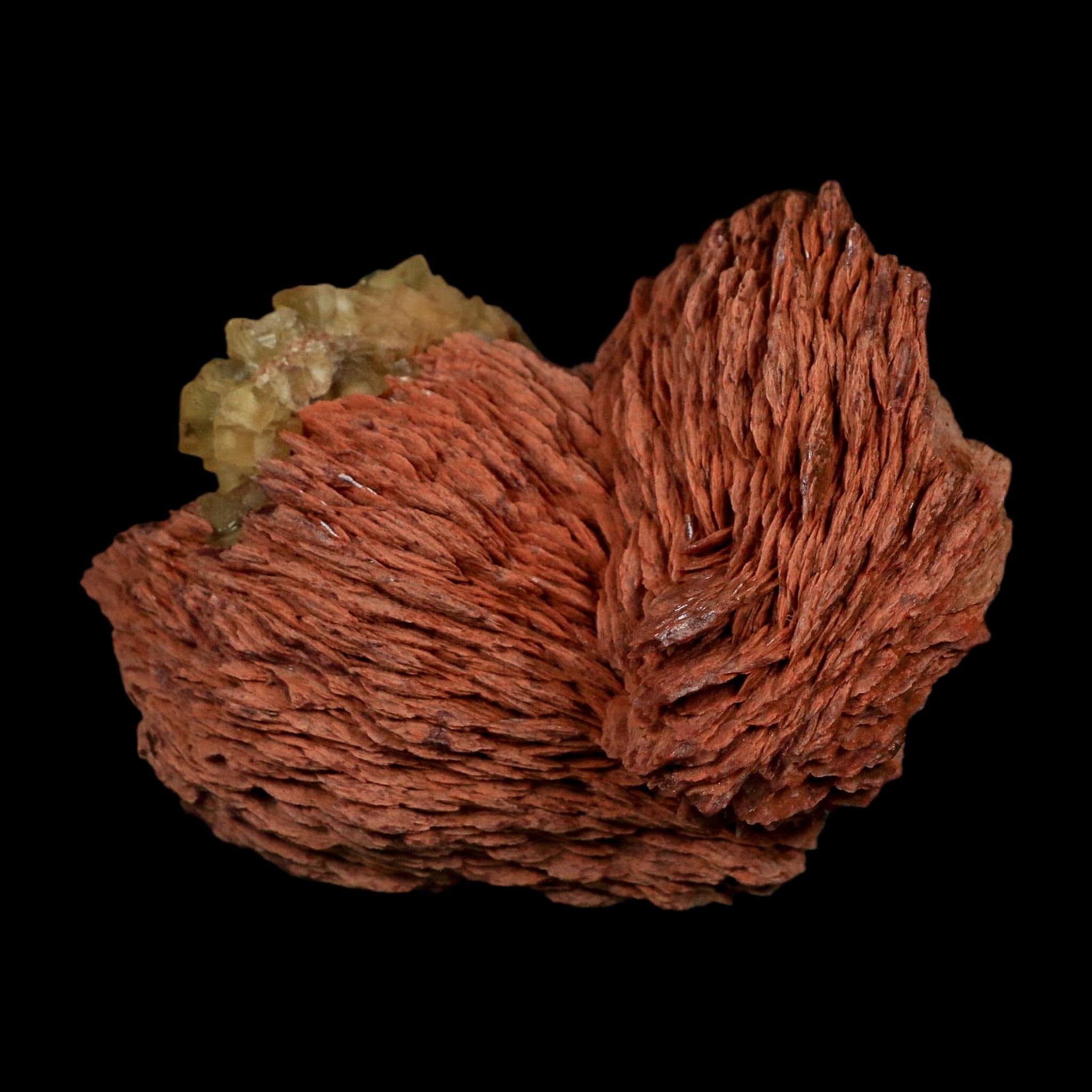 3.7" Yellow Fluorite on Orange Barite Blade Crystals Minerals Taouirirt Morocco - Fossil Age Minerals