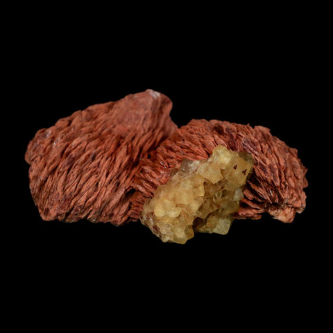 3.7" Yellow Fluorite on Orange Barite Blade Crystals Minerals Taouirirt Morocco