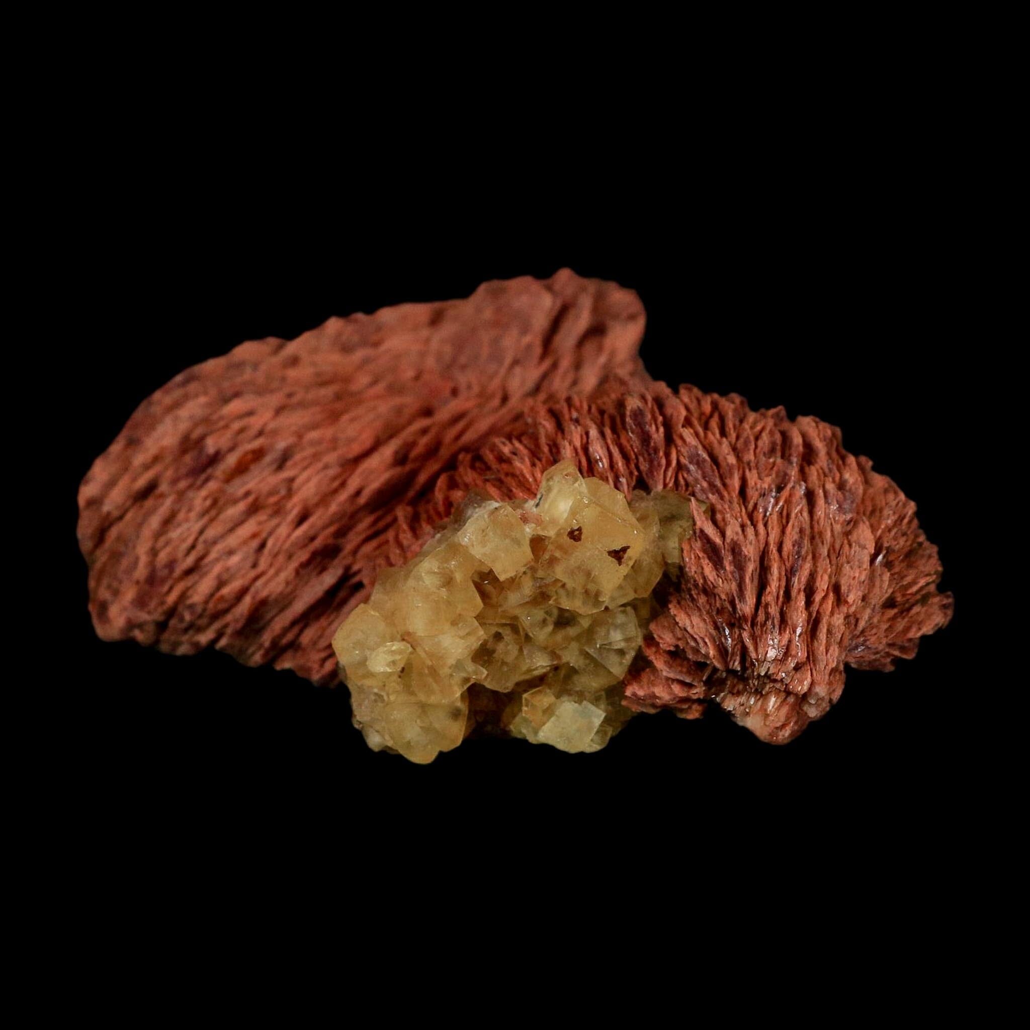 3.7" Yellow Fluorite on Orange Barite Blade Crystals Minerals Taouirirt Morocco - Fossil Age Minerals