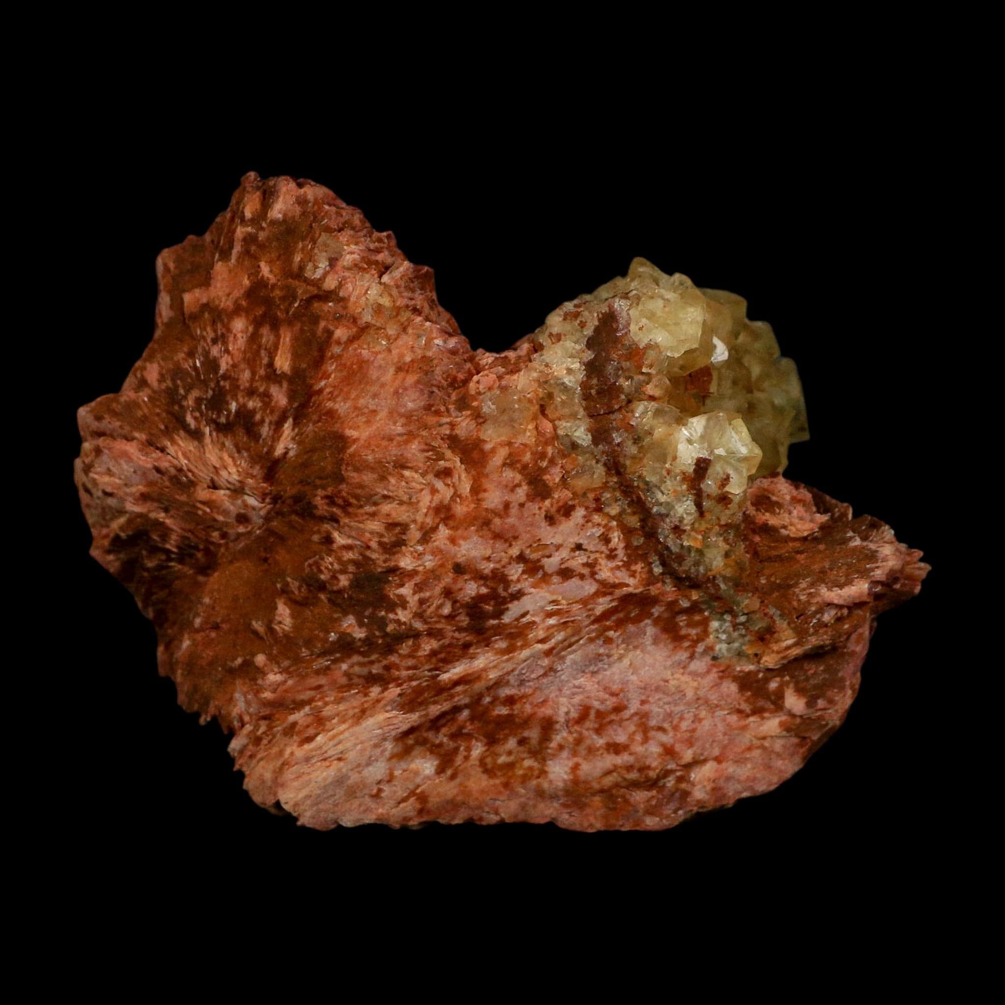 3.7" Yellow Fluorite on Orange Barite Blade Crystals Minerals Taouirirt Morocco - Fossil Age Minerals