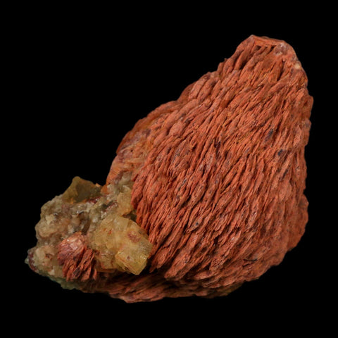 4.1" Yellow Fluorite on Orange Barite Blade Crystals Minerals Taouirirt Morocco