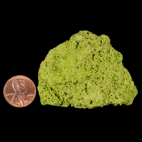 2.2" Rough Green Nontronite Mineral Specimen Jove Lauriano Minas Gerais Brazil - Fossil Age Minerals