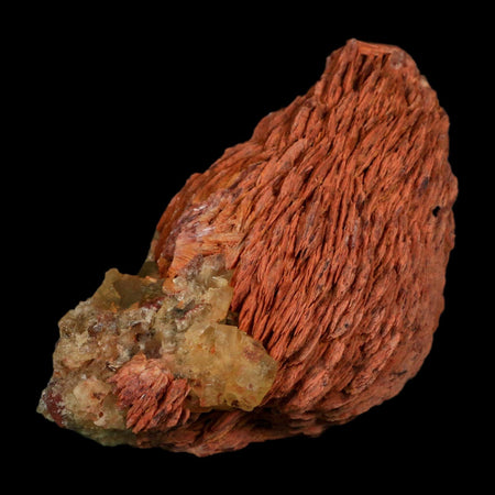 4.1" Yellow Fluorite on Orange Barite Blade Crystals Minerals Taouirirt Morocco