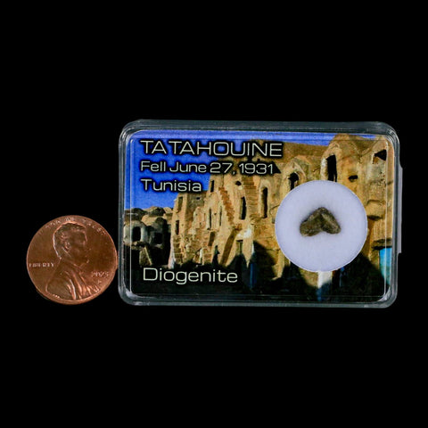 Tatahouine Diogenite Stony Meteorite Achondrites Specimen Fell June 24, 1931 Display - Fossil Age Minerals