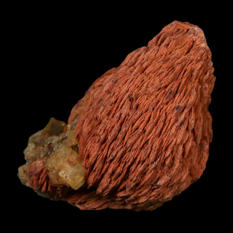 4.1" Yellow Fluorite on Orange Barite Blade Crystals Minerals Taouirirt Morocco