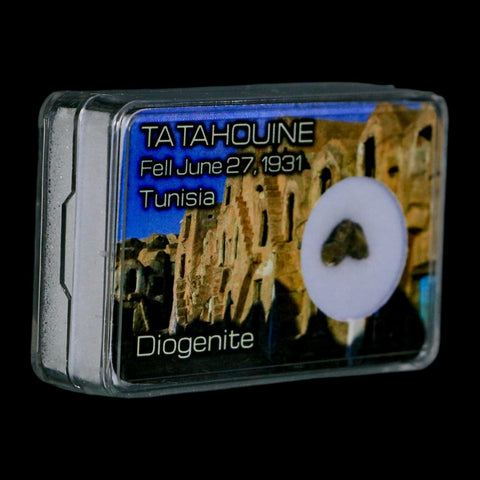 Tatahouine Diogenite Stony Meteorite Achondrites Specimen Fell June 24, 1931 Display - Fossil Age Minerals