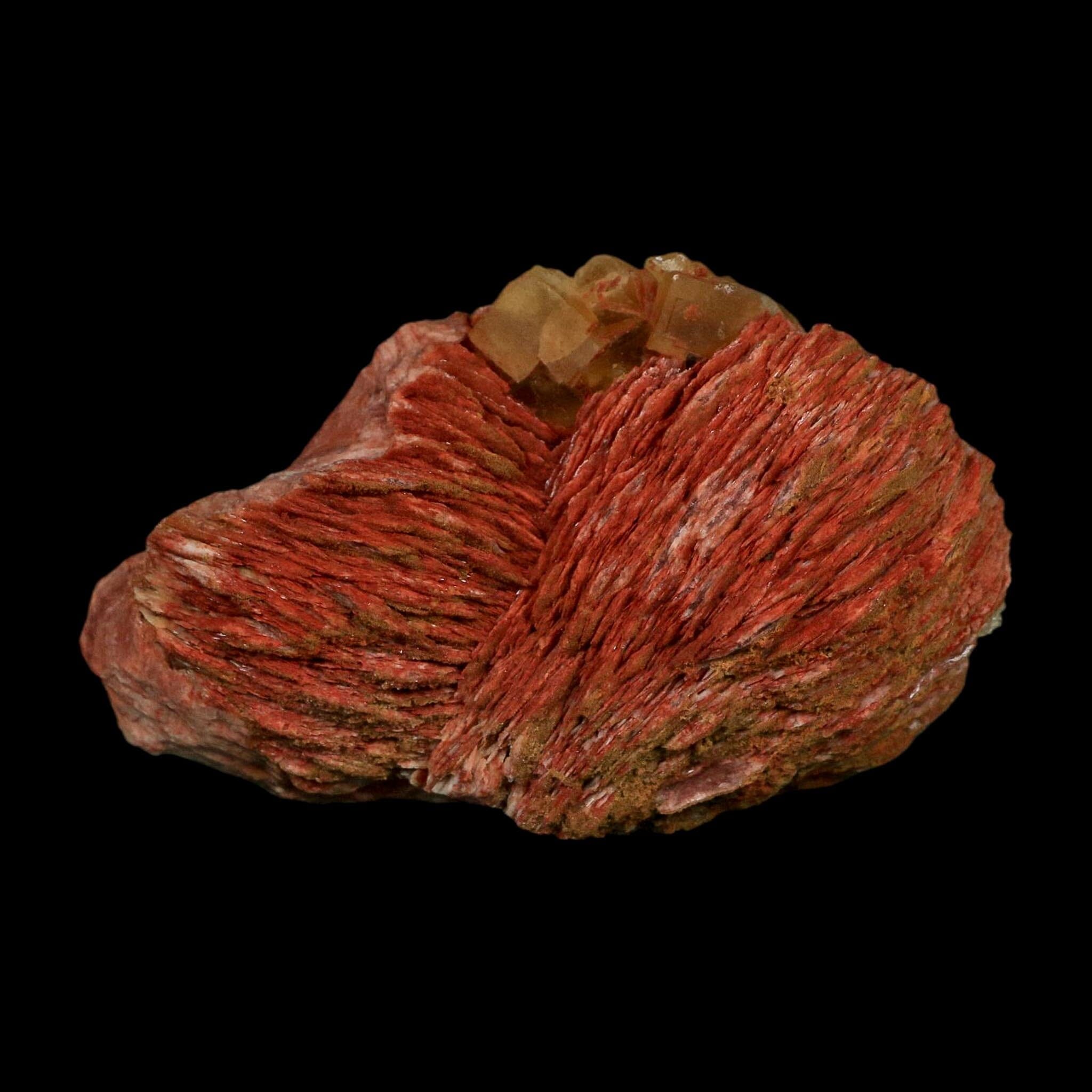 3.6" Yellow Fluorite on Orange Barite Blade Crystals Minerals Taouirirt Morocco - Fossil Age Minerals