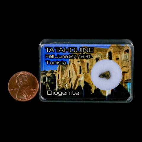 Tatahouine Diogenite Stony Meteorite Achondrites Specimen Fell June 24, 1931 Display - Fossil Age Minerals