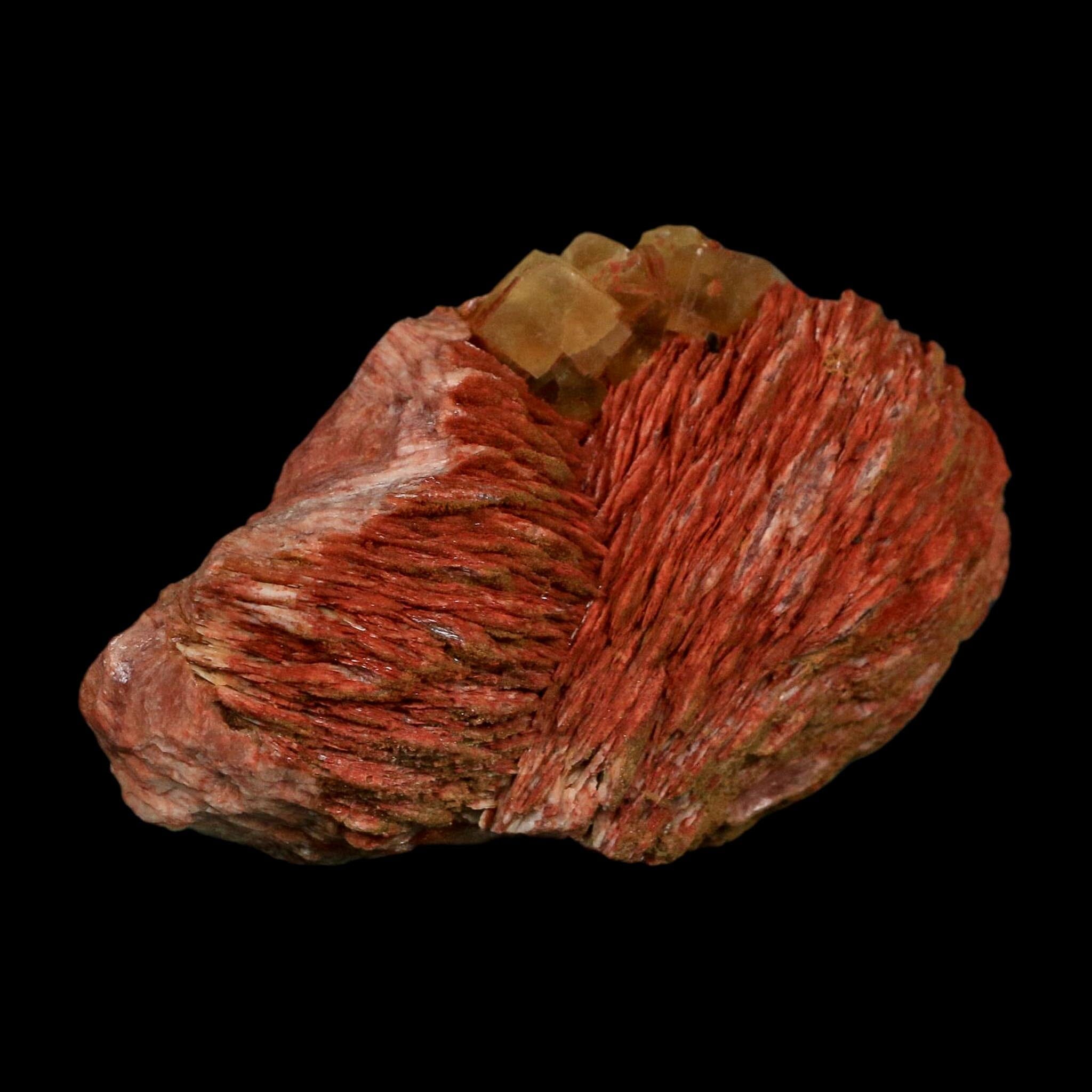 3.6" Yellow Fluorite on Orange Barite Blade Crystals Minerals Taouirirt Morocco - Fossil Age Minerals