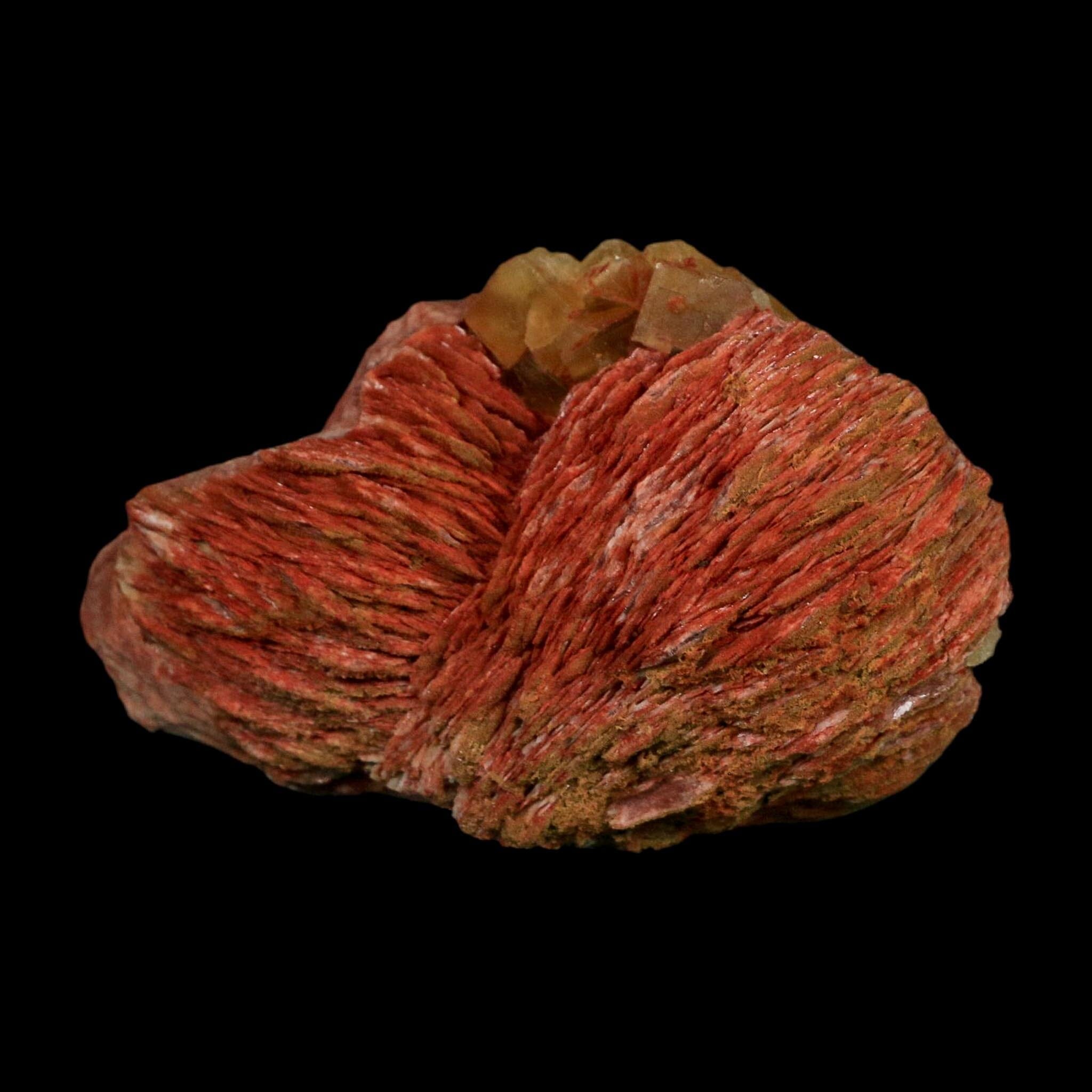 3.6" Yellow Fluorite on Orange Barite Blade Crystals Minerals Taouirirt Morocco - Fossil Age Minerals