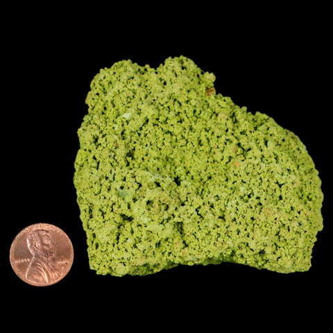 2.9" Rough Green Nontronite Mineral Specimen Jove Lauriano Minas Gerais Brazil - Fossil Age Minerals
