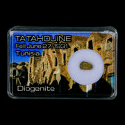 Tatahouine Diogenite Stony Meteorite Achondrites Specimen Fell June 24, 1931 Display