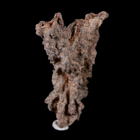 1.9" Fulgurite Petrified Lighting Strike Sahara Desert Morocco - Fossil Age Minerals