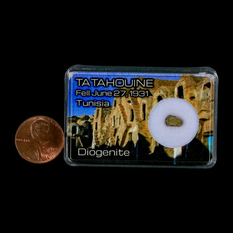 Tatahouine Diogenite Stony Meteorite Achondrites Specimen Fell June 24, 1931 Display - Fossil Age Minerals