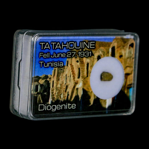 Tatahouine Diogenite Stony Meteorite Achondrites Specimen Fell June 24, 1931 Display - Fossil Age Minerals
