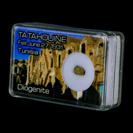 Tatahouine Diogenite Stony Meteorite Achondrites Specimen Fell June 24, 1931 Display