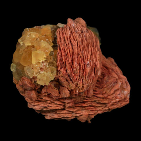 2.7" Yellow Fluorite on Orange Barite Blade Crystals Minerals Taouirirt Morocco