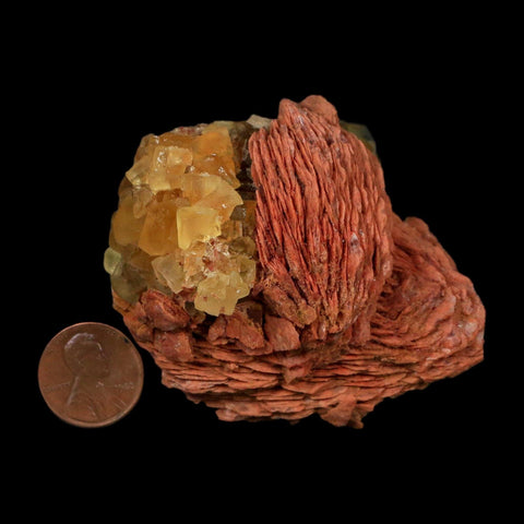 2.7" Yellow Fluorite on Orange Barite Blade Crystals Minerals Taouirirt Morocco