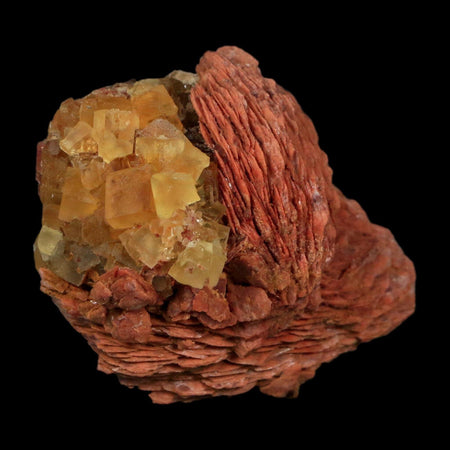 2.7" Yellow Fluorite on Orange Barite Blade Crystals Minerals Taouirirt Morocco