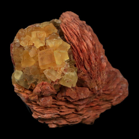 2.7" Yellow Fluorite on Orange Barite Blade Crystals Minerals Taouirirt Morocco
