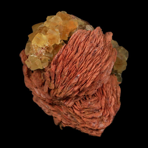 2.7" Yellow Fluorite on Orange Barite Blade Crystals Minerals Taouirirt Morocco