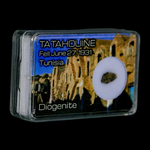 Tatahouine Diogenite Stony Meteorite Achondrites Specimen Fell June 24, 1931 Display - Fossil Age Minerals