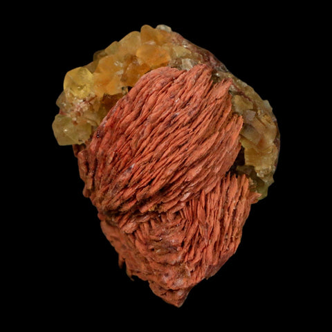 2.7" Yellow Fluorite on Orange Barite Blade Crystals Minerals Taouirirt Morocco