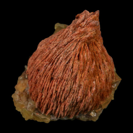 1.8" Yellow Fluorite on Orange Barite Blade Crystals Minerals Taouirirt Morocco