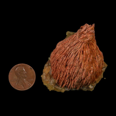 1.8" Yellow Fluorite on Orange Barite Blade Crystals Minerals Taouirirt Morocco