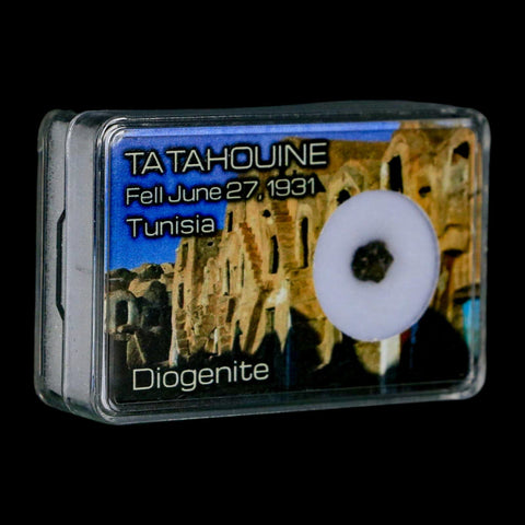Tatahouine Diogenite Stony Meteorite Achondrites Specimen Fell June 24, 1931 Display - Fossil Age Minerals