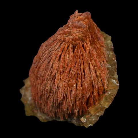 1.8" Yellow Fluorite on Orange Barite Blade Crystals Minerals Taouirirt Morocco