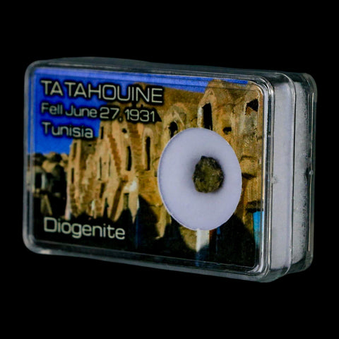 Tatahouine Diogenite Stony Meteorite Achondrites Specimen Fell June 24, 1931 Display - Fossil Age Minerals