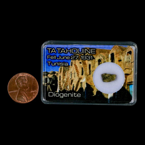 Tatahouine Diogenite Stony Meteorite Achondrites Specimen Fell June 24, 1931 Display - Fossil Age Minerals