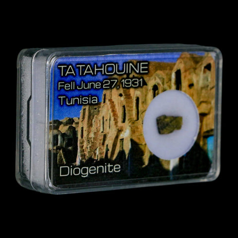 Tatahouine Diogenite Stony Meteorite Achondrites Specimen Fell June 24, 1931 Display - Fossil Age Minerals